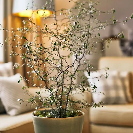 Hotell Fuchsbau Romantik & Restaurant & Fox Bar Timmendorfer Strand